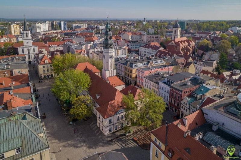 O co biega w Zielonej Górze – wydarzenia, atrakcje i lokalne informacje