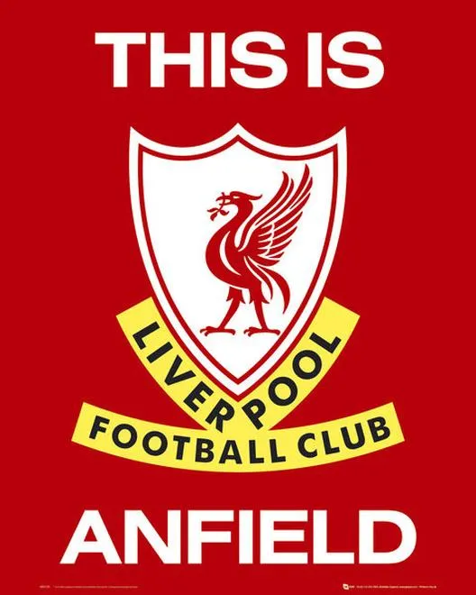 Liverpool w Lidze Mistrzów