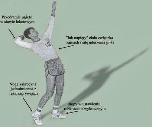 Przepisy w różnych ligach siatkówki