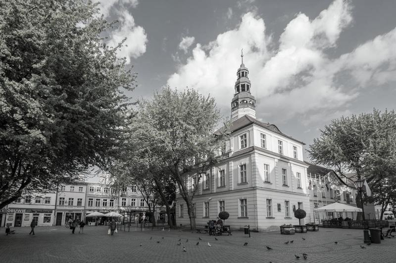 Wydarzenia w Zielonej Górze